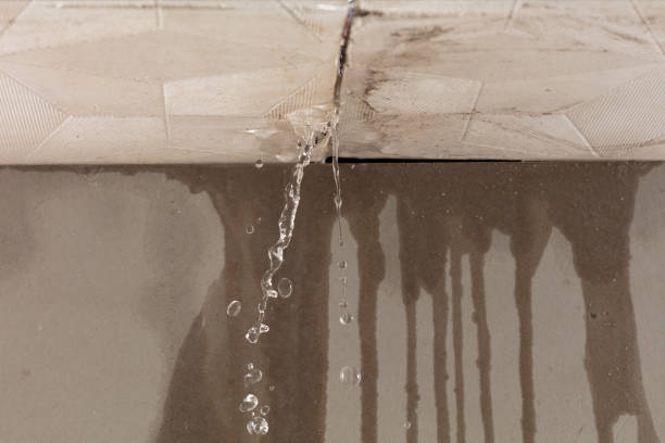 Professional Water Damage Repair technician working in Saint Georges, DE